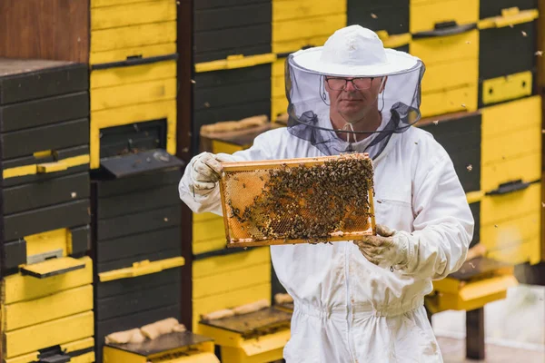 Hobby Honigbauer Steht Einem Bienenhaus Vor Bienenstöcken Und Hält Einen — Stockfoto