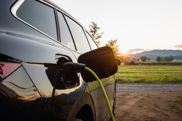 stock image Power cable connected with a charger plugged into a black electric car, sun, and tree in the background, close up