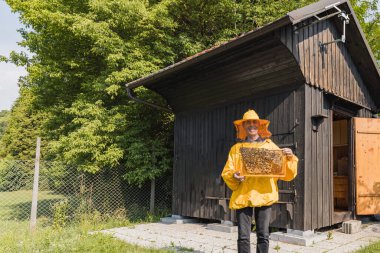 Portrait of a Caucasian man, beekeeper in yellow protective gear holding a hive frame covered with comb and bees