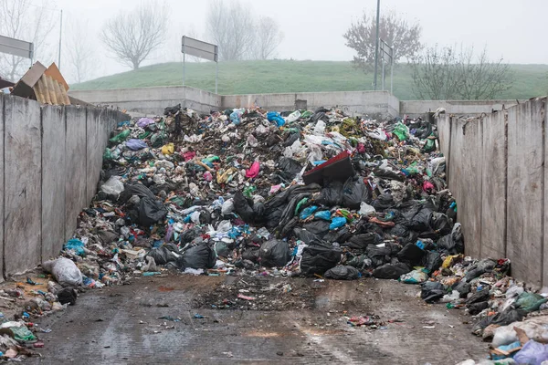 쓰레기 매립장 고르지 폐기물을 처리하기 콘크리트 부분에 악취나는 쓰레기 — 스톡 사진