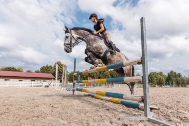 Young woman jockey riding her horse outside in summer clipart