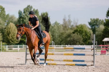 Güneşli bir yaz gününde binicilik merkezinde engelin üzerinden atlayan kestane ata binen kadın binici. Donanım sporu konsepti.