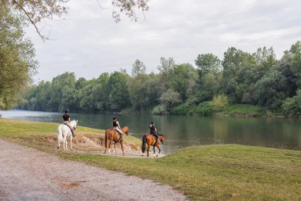 Three Female Riders Enjoying Riding Horses Beautiful Nature Stepping River — Stock Photo, Image