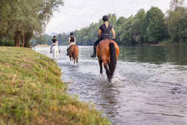 stock image Three female riders crossing the shallow river by riding horses at the end of the day. Animal, relaxation, and nature concepts.