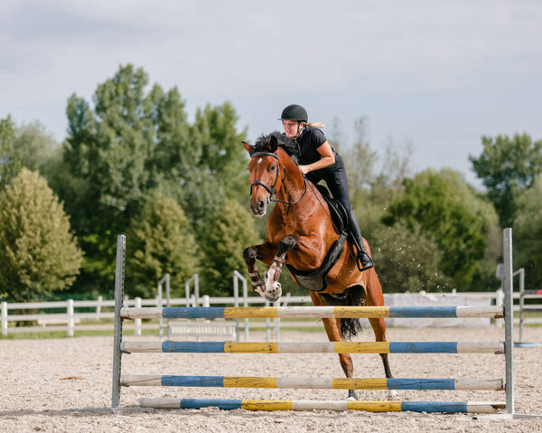 Side view of a beautiful chestnut horse with a female rider, jumping over hurdles in the open arena on a cloudy summer day, low angle shot.