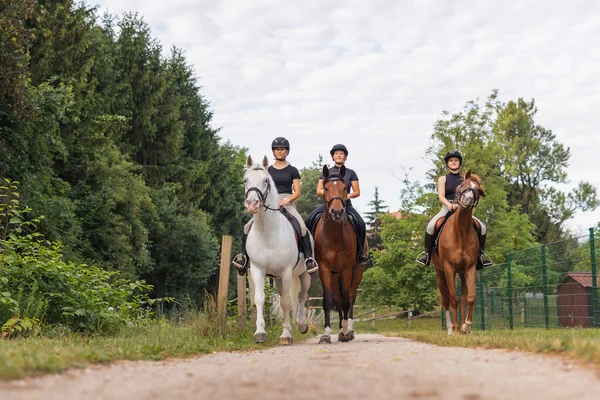 Tre Hästkvinnor Njuter Att Rida Vackra Hästar Sida Vid Sida — Stockfoto