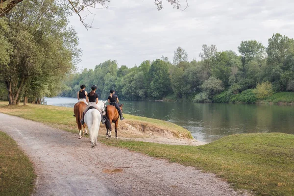 Three Female Riders Enjoying Riding Horses Beautiful Nature Stepping River — Stock Photo, Image