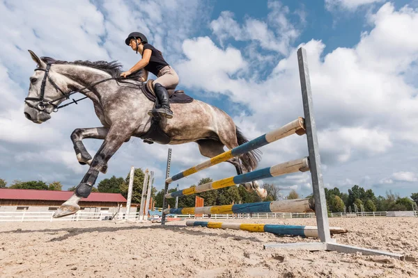 Reiterin Auf Einem Apfelgrauen Pferd Springt Einem Sonnigen Tag Über — Stockfoto