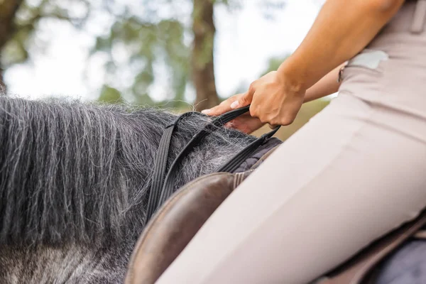 stock image Pretty girl, a horseback rider riding beautiful gray horse, walking along a path on a sunny summer day