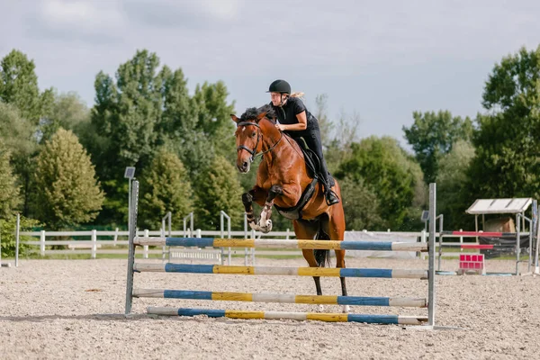 Professional equestrienne exercising hurdle jump on her beautiful horse in an outdoor riding arena with obstacles and sandy ground