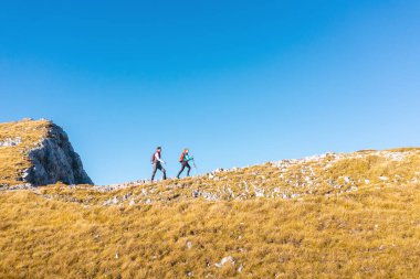 Güneşli bir günde yürüyüş yapan çift, sonbaharda güzel dağ doğasının tadını çıkarıyor. Spor, eğlence ve sağlıklı yaşam tarzları..