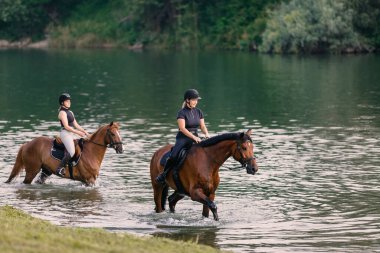 Atlılar, iki genç kadın yeşil koruluklarla çevrili sakin nehirde güzel atlara biniyorlar.