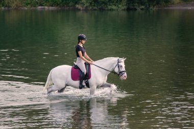 Eyerinin üzerinde kadın bir biniciyle nehir suyunda yürüyen beyaz at. Ekoloji ve binicilik sporu konsepti.