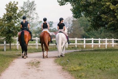 Beyaz ahşap çitlerin yanında ata binen üç kadın binicinin at çiftliğine dönüşünün arka görüntüsü.