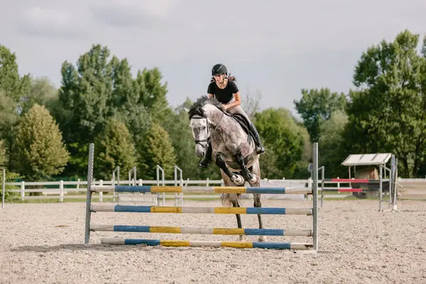 Reiterin Auf Einem Apfelgrauen Pferd Springt Einem Sonnigen Tag Über Stockbild