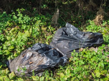Ormanda çöp. Doğaya yasa dışı çöp atıldı..