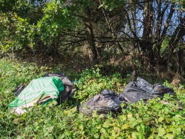 Ormanda çöp. Doğaya yasa dışı çöp atıldı..