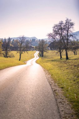 Sonbaharda, güneşli bir günde, dolambaçlı Country Road.