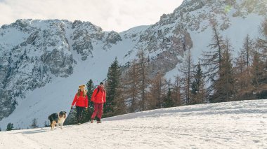 Çiftler kışın köpekleriyle karlı bir dağa tırmanmayı severler.