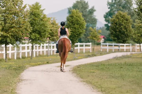 Female rider, horseback riding along the trail that leads between white wood fences and fields. Equestrian leisure activity concept.