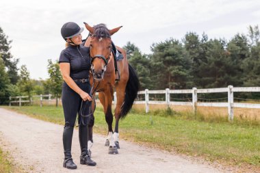 Kadın binici el nazikçe okşuyor güzel, kırmızı at yelesi, yakın çekim. Eşya ve hayvan sever kavramı.