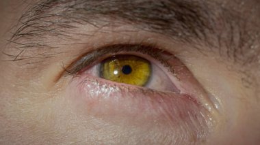 Güzel kahverengi gözlü, göz kırpan ve kameranın yanına dikkatle bakan bir erkek. Düşük açılı bir bakış açısı var. Bakış açısı, algı ve görüş kavramları.