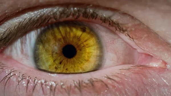 Human eye movement, opening and blinking of a male eye with brown iris, focusing on the camera, close up shot. Waking time and life-changing moment concepts.