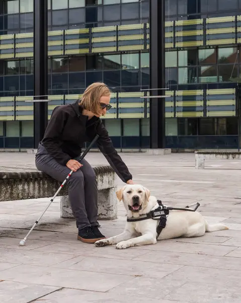 Blinde Oder Sehbehinderte Frau Ruht Mit Ihrem Blindenhund Auf Der Stockfoto