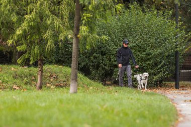 Sonbahar günü, şehir parkında rehber köpeğiyle yürüyen beyaz bastonlu kör bir adam. Bağımsızlık ve engellilik kavramları.