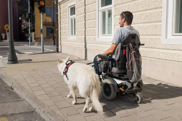 Dışarıda sakat bir adam, hizmetli köpeğiyle birlikte elektrikli sandalye kullanıyor..