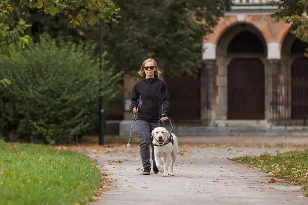 Blind woman walking in city park with a guide dog assistance, on a windy autumn day. Visually impaired people and active lifestyles concept.