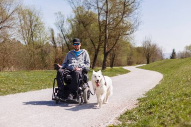 Dışarıda engelli bir adam, park yerinde servis köpeğiyle elektrikli sandalye kullanıyor..