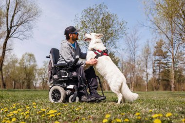 Dışarıda engelli bir adam, park yerinde servis köpeğiyle elektrikli sandalye kullanıyor..