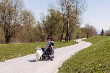 Dışarıda engelli bir adam, park yerinde servis köpeğiyle elektrikli sandalye kullanıyor..