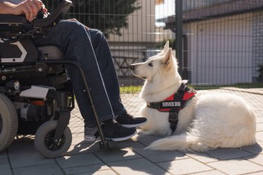 Evinin bahçesinde elektrikli sandalyede hizmet köpeği olan engelli bir adam..