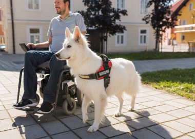 Dışarıda sakat bir adam, hizmetli köpeğiyle birlikte elektrikli sandalye kullanıyor..
