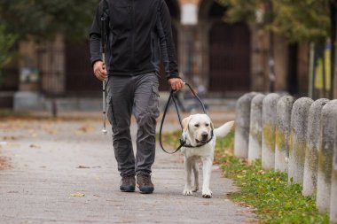Kör kadın eğitimli rehber köpeğiyle şehir parkında keyifli bir yürüyüş yapıyor. Hizmet hayvanı ve insan ortaklığı kavramı.