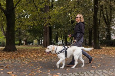 Görme engelli bir kadın rehber köpeğiyle şehir parkında yürüyor. Yardım, arkadaşlık ve rehber köpek kavramları..