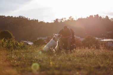 Özürlü bir adam, güneşli bir günde evcil köpeğiyle dışarıda oynayan bir tekerlekli sandalye kullanıcısı. Hayvanlar ve insanlar arkadaşlık kavramı.