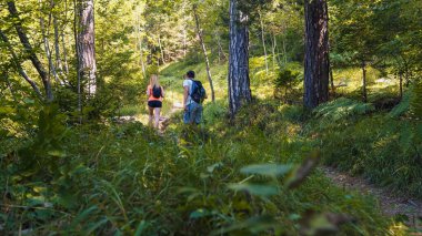 Genç bir çift, bir kadın ve bir erkek yeşil bir ormanda yaz yürüyüşünün tadını çıkarıyorlar. Seyahat yaşam tarzı konsepti.