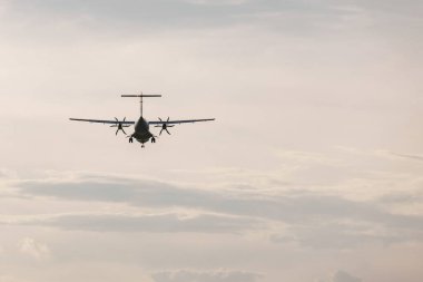 Gün batımında güzel çayırların üzerinde uçan uçak. Seyahat, tatil ve özgürlük kavramları.