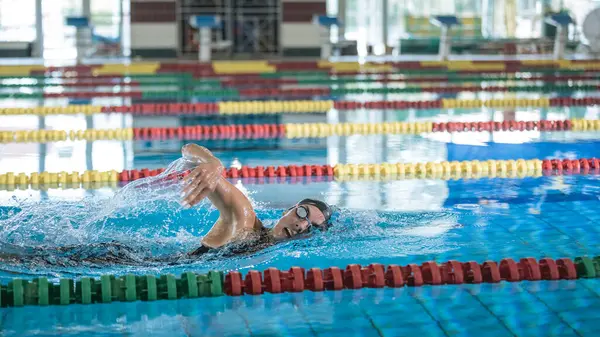 Stock image Professional female swimmer swimming the front crawl stroke. Freestyle competition concept.