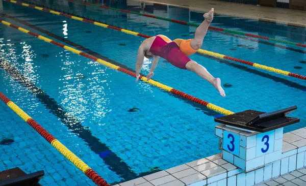 stock image Female athlete, a professional swimmer during training, preparing for a dive start and jumping into the lap pool.