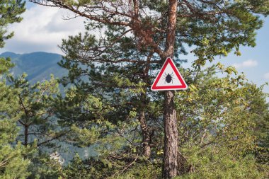 Ağacın tepesindeki dağ manzarasına giren ağaçtaki kene paraziti uyarısı. Risk, tehlike ve Lyme hastalığı konsepti.