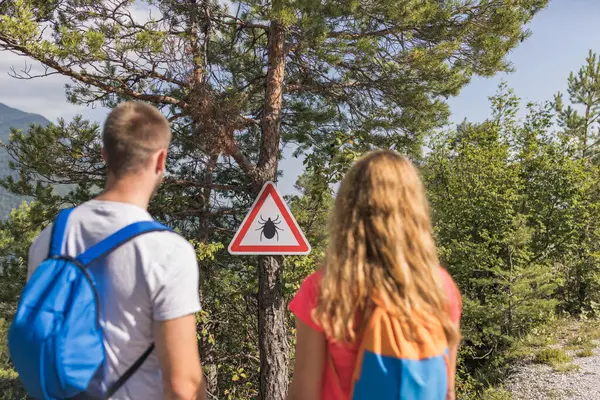 stock image Couple with backpacks on a hiking route, standing in front of the tree and looking at a warning sign, caution ticks in the forest.