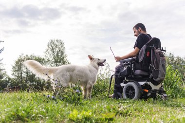 Engelli gülümseyen bir adam, tekerlekli sandalye kullanıcısı, ve onun evcil köpeği güneşli bir yaz gününde doğanın tadını çıkarıyor ve dinleniyor..