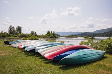 Gölde boş kanolar, yeşil doğal çevre. Kano konsepti.