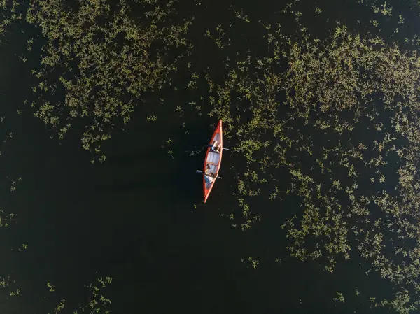 Yaz günbatımında göl kenarında kanoyla gezmekten hoşlanan çift, havadan çekim yapıyor. Açık hava sağlığı kavramı.