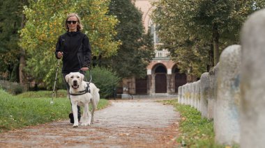 Şehir parkında rehber köpek yardımıyla yürüyen görme engelli bir kadın. Kör insanlar için sadık yoldaşlar.