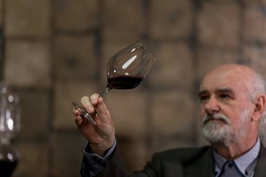 Kıdemli gri sakallı beyaz adam, şarap uzmanı, bir bardak tutuyor, kırmızı şarabı inceliyor görüş, koku ve tat yoluyla.